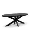 Eettafel ovaal zwart 180cm