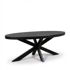 Eettafel ovaal zwart 180cm