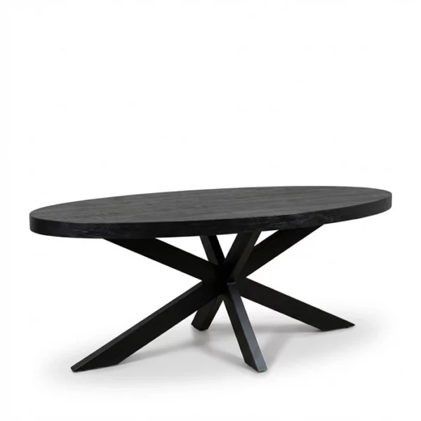 Eettafel ovaal zwart 180cm